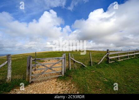 South Downs National Park, Sussex, Royaume-Uni près de Firle Beacon. Une porte et une clôture sur la route de South Downs Way. Banque D'Images