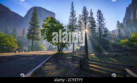 el capitan le matin d'une journée faragueuse dans le parc national de yosemite, californie aux états-unis Banque D'Images