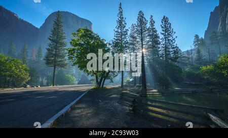 el capitan le matin d'une journée faragueuse dans le parc national de yosemite, californie aux états-unis Banque D'Images