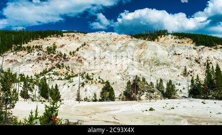 La chaleur estivale cache une grande partie de la vapeur de Roaring Mountain dans le parc national de Yellowstone Banque D'Images