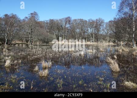 Degerhamn / Suède - avril 20 2013 : paysage à l'extrémité sud de l'île Oeland (Öland) dans le sud-est de la Suède Banque D'Images