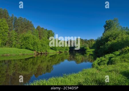 Beau paysage d'été, les arbres forestiers se reflètent dans l'eau calme de la rivière sur un fond de ciel bleu. Banque D'Images