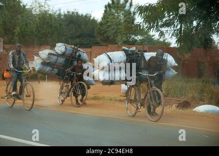 Homme et garçon portant des sacs de charbon de bois sur le dos des bicyclettes, Zomba, Malawi. Banque D'Images