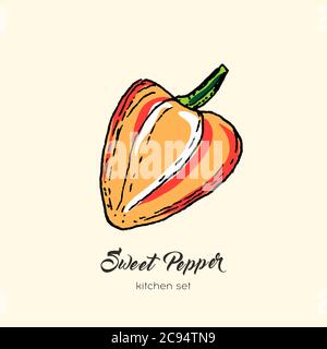 Isolat vectoriel de poivron rouge. Illustration dessinée à la main paprika capicum paprika rouge piments orange symbole logo Illustration de Vecteur