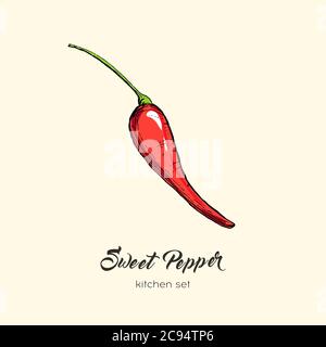 Isolat vectoriel de poivron rouge. Illustration dessinée à la main paprika capicum paprika rouge piment rouge icône logo Illustration de Vecteur