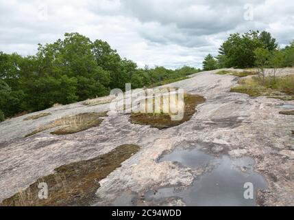 Roche glaciaire avec végétation et arbres sous ciel orageux à la réserve naturelle de Torrance Barrens en Ontario Canada Banque D'Images