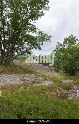 Roche glaciaire avec végétation et arbres sous ciel orageux à la réserve naturelle de Torrance Barrens en Ontario Canada Banque D'Images