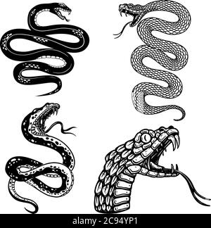 Ensemble d'illustrations de serpent toxique en style gravure. Élément de design pour logo, étiquette, affiche, affiche, t-shirt. Illustration vectorielle Illustration de Vecteur