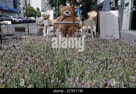 Mexico, Mexique. 28 juillet 2020. MEXICO, MEXIQUE - JUILLET 28 : les propriétaires de restaurants mettent des ours en peluche géants sur les chaises pour tenter d'amener les clients à respecter les distances sociales, une méthode utilisée dans certaines parties du monde comme Paris le 28 juillet 2020 à Mexico, Mexique crédit : L'accès photo/Alamy Live News Banque D'Images