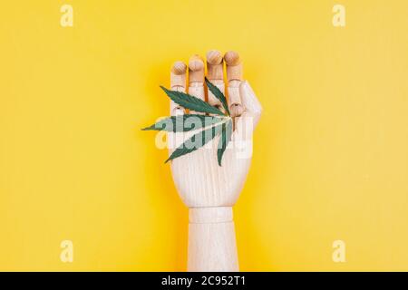 Branche de cannabis dans une main artificielle en bois sur fond jaune. Banque D'Images