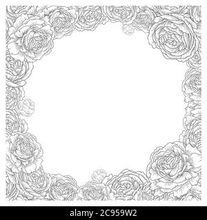 Cadre carré fleuri. Fleurs élégantes, roses, vecteur de pivoines. Modèle d'arrière-plan décoratif pour carte de mariage. Illustration graphique Illustration de Vecteur