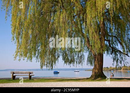 Géographie / Voyage, Allemagne, Bavière, Herrsching à Ammersee (lac Ammer), promenade, droits supplémentaires-autorisations-Info-non-disponible Banque D'Images