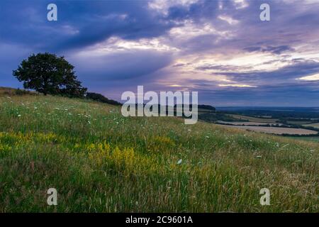 Randonnée au coucher du soleil au-dessus de Pilot Hill sur les North Wessex Downs, la plus haute colline du Hampshire, au sud-est de l'Angleterre au Royaume-Uni Banque D'Images