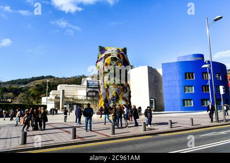 Chiot Banque D'Images