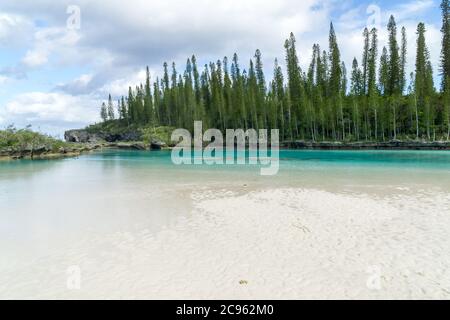 Piscine naturelle à l'île de pins, en Nouvelle-Calédonie, avec les pins typiques célèbres de l'archipel. Belle eau transparente en aigue-marine. Banque D'Images