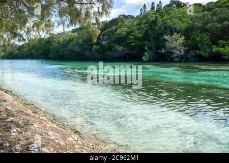 Paysage marin de l'île Pines, Nouvelle-calédonie avec mer turquoise et arbres typiques d'araucaria Banque D'Images