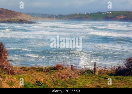 Près de Clonakilty, comté de Cork, West Cork, République d'Irlande. Eire. Paysages côtiers. Banque D'Images