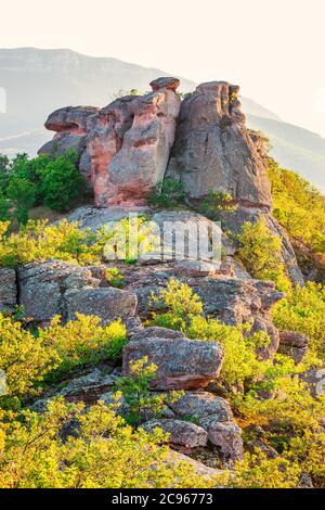 Les rochers de Belogradchik au coucher du soleil - point de repère naturel dans la région de Belogradchik, montagnes des Balkans, nord-ouest de la Bulgarie Banque D'Images