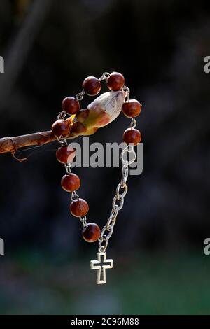 Bracelet avec une croix sur un bouton de châtaignier. France. Banque D'Images