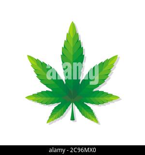 Grande feuille de cannabis, image vectorielle réaliste, fond blanc Illustration de Vecteur