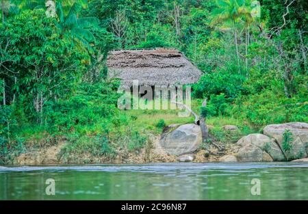 INDIOS YANOMAMI, TRIBU IRONAVI, CANOË SUR BRAZO CASIQUIAIRE, AMAZONAS, VENEZUELA Banque D'Images