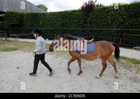 Adolescent se préparer à monter un poney à Beaumesnil, France. Banque D'Images