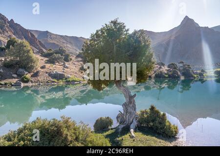 La vue sur le domaine de Pamir et le camping paisible sur le lac Kulikalon dans les montagnes de Fann au Tadjikistan. Un genièvre amisant. Banque D'Images