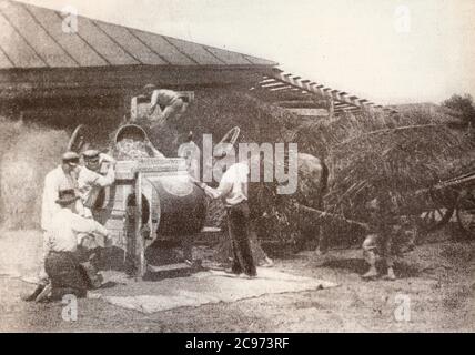 Nettoyage des grains dans la koménna agricole de Vladimir Lénine dans la province de Tver en Russie en 1920. Banque D'Images