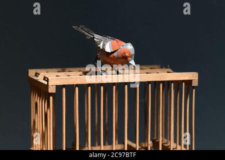 Vieux oiseau en métal ou en fer d'époque coloré perché sur une cage en bois avec des barres qui surplombent le côté en gros plan sur un fond sombre Banque D'Images