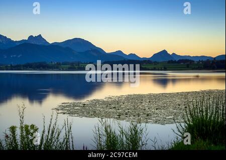 Vue sur le Hopfensee avec les montagnes Tannheim en arrière-plan, Allgäu, Swabia, Bavière, Allemagne Banque D'Images