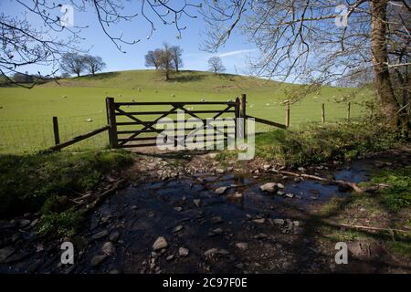 Les rives et le paysage du lac Windermere dans le district du lac lors d'une journée ensoleillée de ciel bleu au printemps. Avec des arbres sans feuilles et des chemins calmes et vides. Banque D'Images