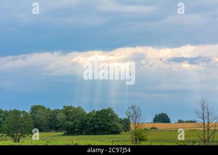 Nuages sombres avec le soleil qui se couche. Beaux rayons de soleil, buissons verts, et champ Banque D'Images