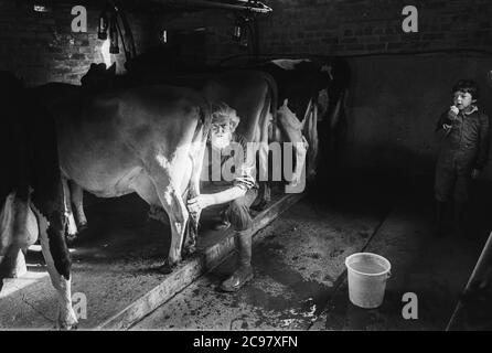 Fabrication de fromage biologique Carmarthenshire années 1990 Pantyllyn Farm, AnnGraeme Young Banque D'Images