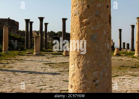 Ruines anciennes d'Umm Qais, Jordanie, vue sur les hauteurs du Golan, au carrefour des frontières d'Israël, de la Jordanie et de la Syrie. Gros plan montrant le bts Banque D'Images