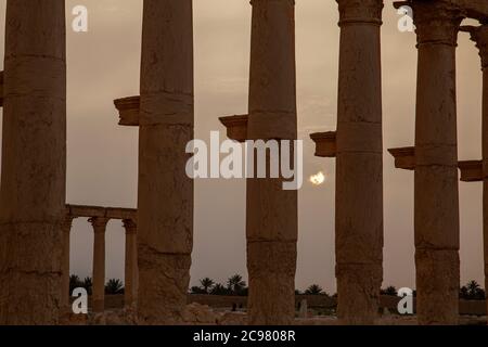 Le soleil s'élève entre les piliers de pierre des ruines antiques de Palmyra, Syrie image offre une vue rapprochée des colonnes de pierre avec ciel voilé dans la ba Banque D'Images