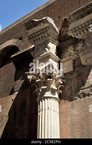 Italie, Rome, Basilique de Neptune (près du Panthéon), colonne corinthienne Banque D'Images