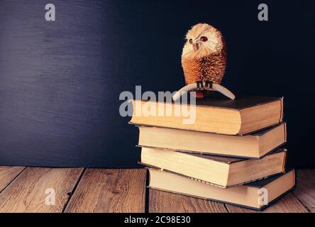 livres empilés sur une table en bois dans un style rustique sur le fond d'une école tableau noir. Owl sur les livres comme source de sagesse et de connaissance. Concept Banque D'Images