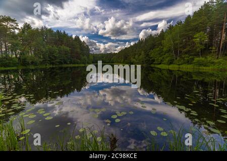 Superbes paysages au bord du lac dans le parc national d'Aukstaitija, Lituanie. Premier parc national de Lituanie. Banque D'Images