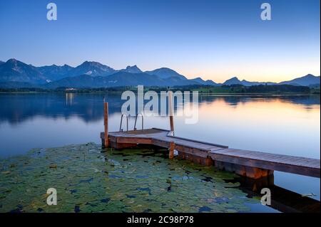 Passerelle en bois à Hopfensee avec les montagnes de Tannheim en arrière-plan, Allgäu, Schwaben, Bavière, Allemagne Banque D'Images