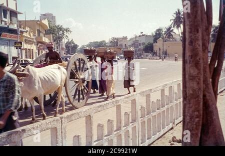 La vie quotidienne dans une rue de Chennai, également connu sous le nom de Madras, près de l'hôtel Burhani. Chennai, Tamil Nadu, Inde, 1961/1962 Banque D'Images