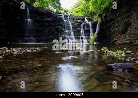 Cascade cachée dans une gorge profonde avec de l'eau blanche. Forêt de Bowland, vallée de Ribble, Lancashire Banque D'Images