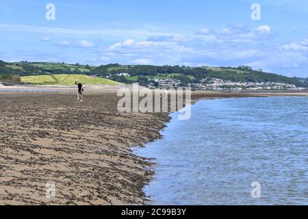 Collecte de coques sur la plage est de Burry Port à marée basse avec le village côtier de Pwll en arrière-plan, port de Burry, Carmarthenshire, pays de Galles Banque D'Images