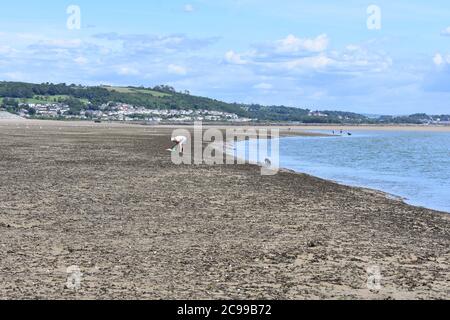 Homme collectant des coques sur la plage est de Burry Port à marée basse avec le village côtier de Pwll en arrière-plan, port de Burry, Carmarthenshire, pays de Galles Banque D'Images