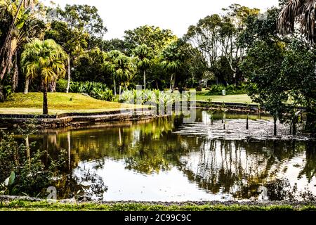 Les jardins botaniques de Curepipe (ou jardin botanique SSR de Curepipe) sur la route des Jardins, Curepipe, est le deuxième plus grand jardin botanique de l'île Maurice. Banque D'Images