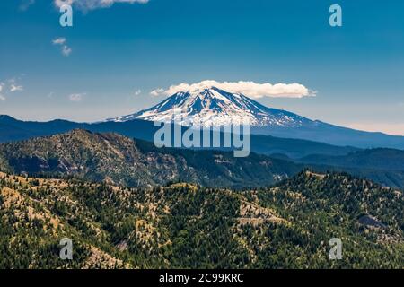 Mount Adams vue depuis la région de Windy Ridge du monument volcanique national de Mount St. Helens, dans la zone d'abattage à l'explosif, forêt nationale Gifford Pinchot, Washi Banque D'Images