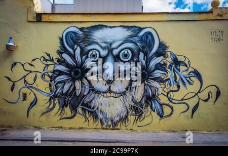 La Havane, Cuba, juillet 2019, fresque de l'artiste Mateus Bailon représentant une tête de lion dans la vieille ville Banque D'Images