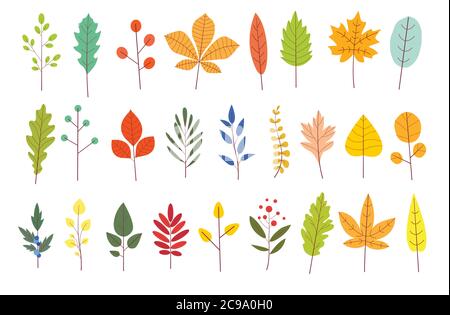 Ensemble de feuilles d'automne colorées. Feuille de jardin jaune automnale de style simple et plat. Plantes forestières vectorielles botaniques. Illustration de Vecteur