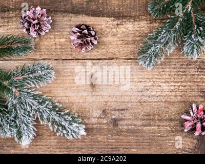Branches d'arbre de Noël sous la neige et les cônes roses. Banque D'Images