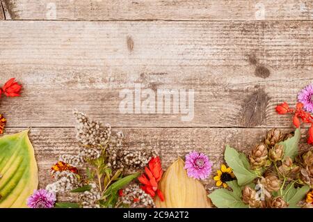 Plantes et fleurs d'automne sur fond de bois. Banque D'Images