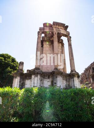 Une image de quelques colonnes restantes appartenant au Temple détruit de Vesta dans le forum romain. Banque D'Images